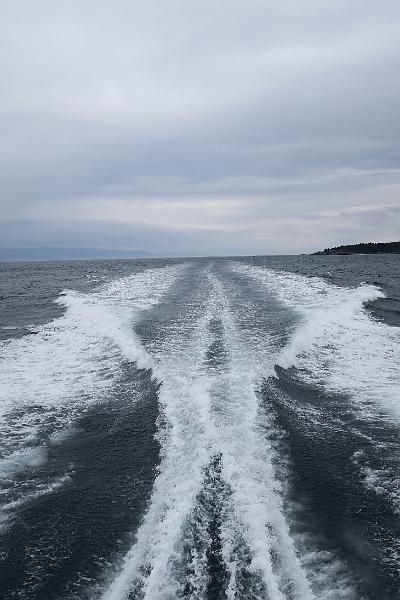 IMG_5243.JPG