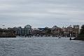 IMG_5181