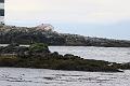IMG_5199