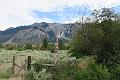 IMG_5601