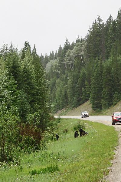 IMG_5724.JPG