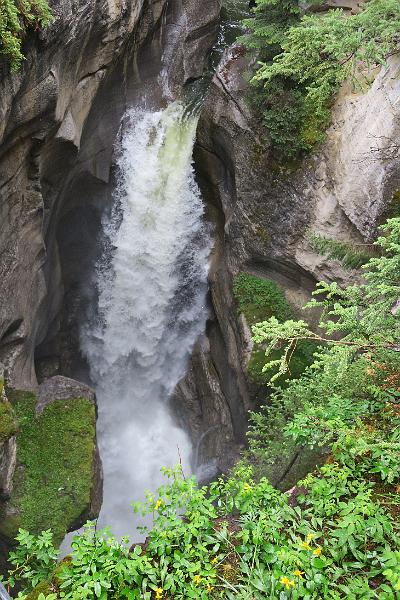 IMG_5787.JPG