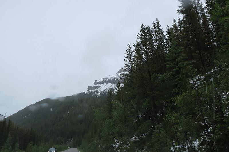 IMG_5831.JPG
