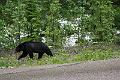 IMG_5820