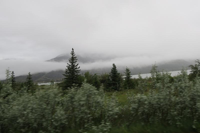 IMG_5917.JPG
