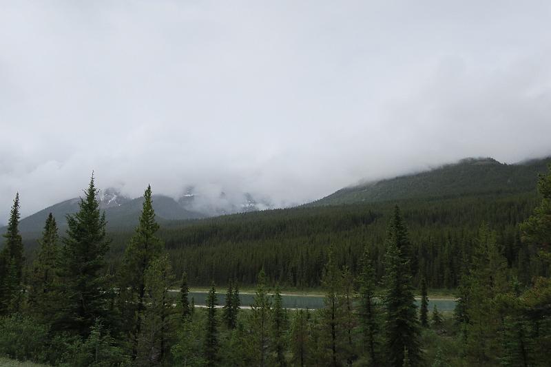 IMG_5985.JPG
