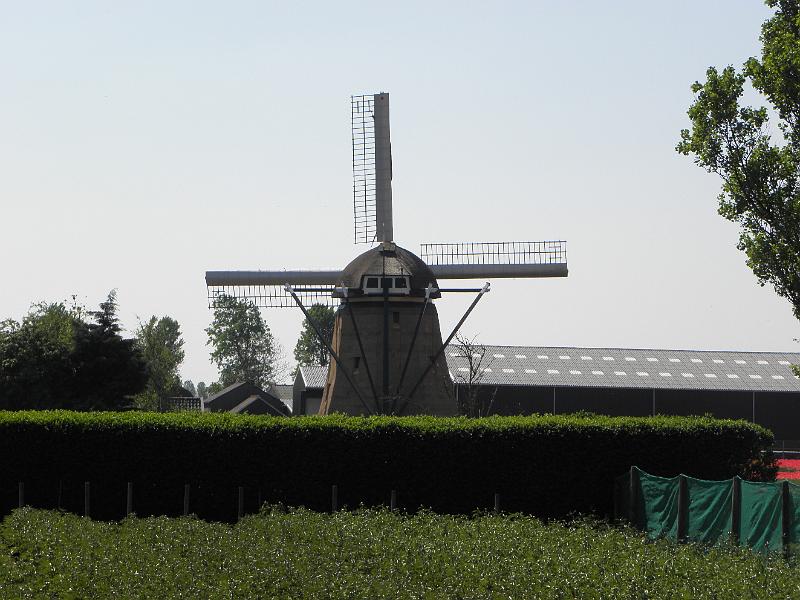 P4250017.JPG