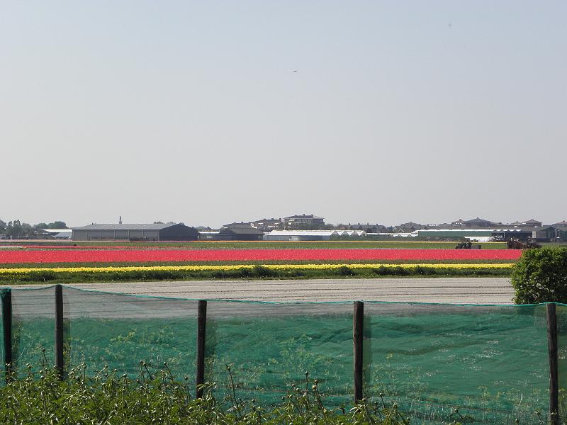 P4250018.JPG