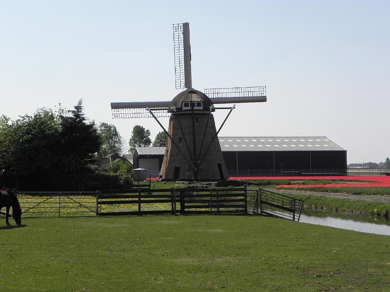 P4250019.JPG