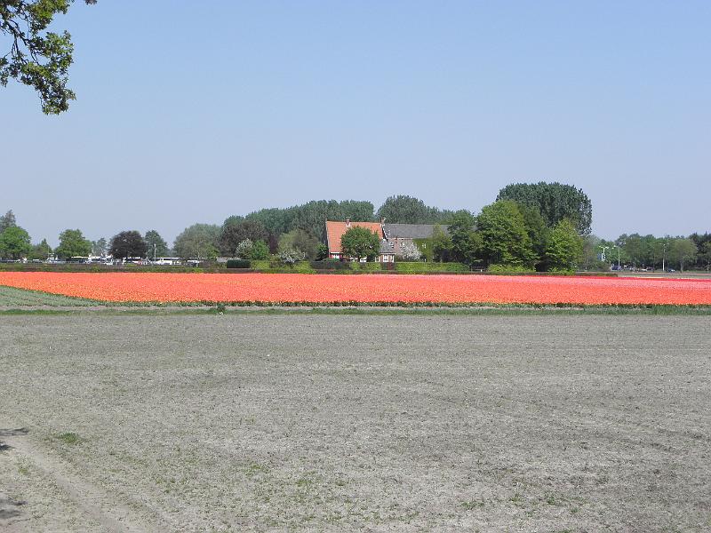 P4250026.JPG
