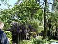 P5010173