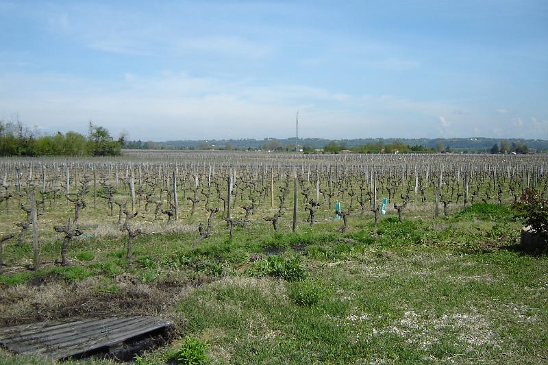 DSC04647.JPG