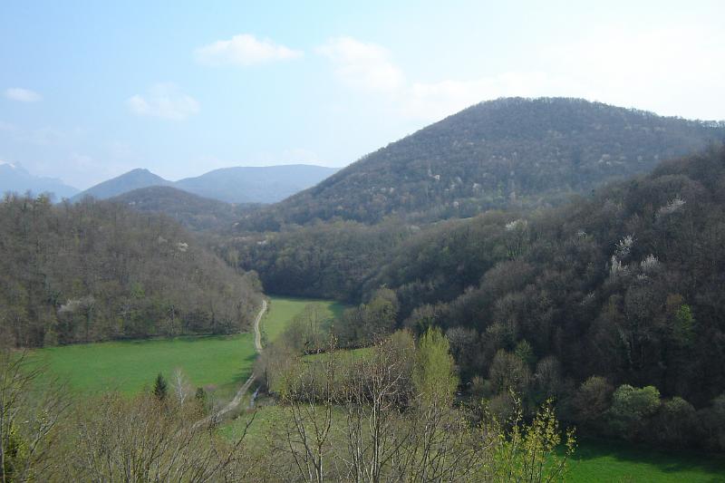 DSC04540.JPG