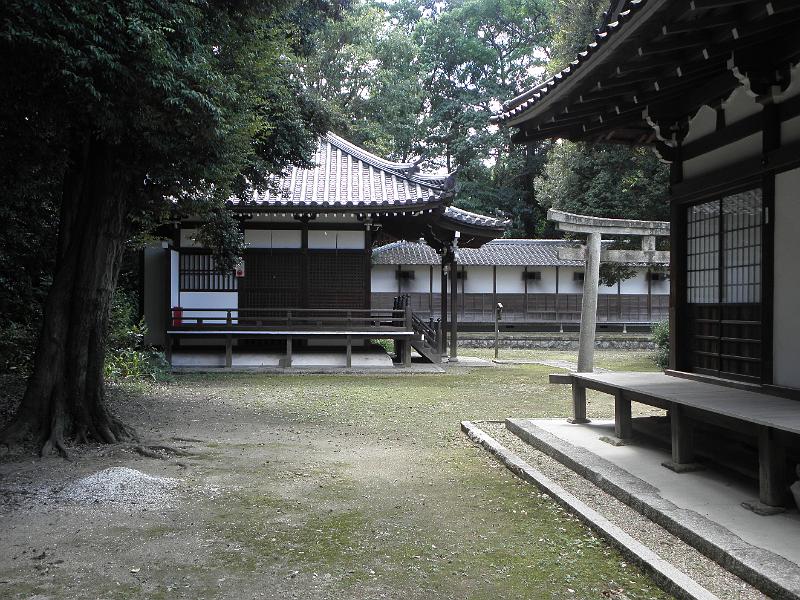 P9250097.JPG