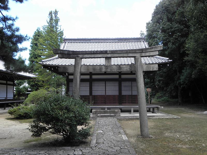 P9250098.JPG