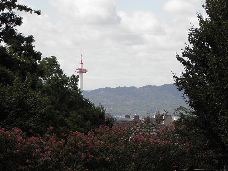 P9250103.JPG