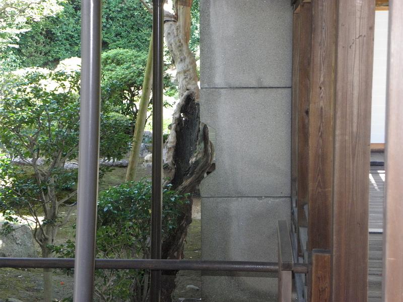 P9250121.JPG