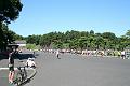IMG_0560