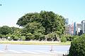 IMG_0561