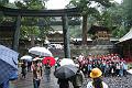 IMG_0601