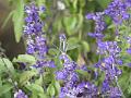 P9290381