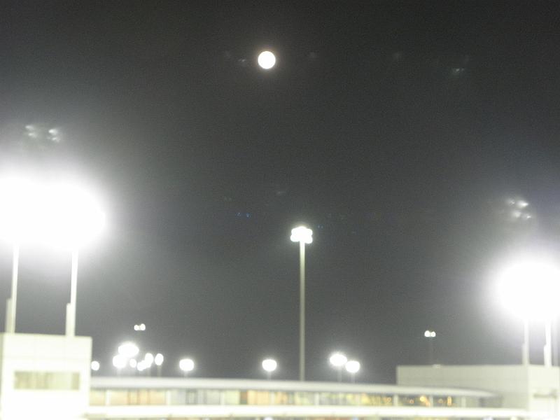 P3200045.JPG