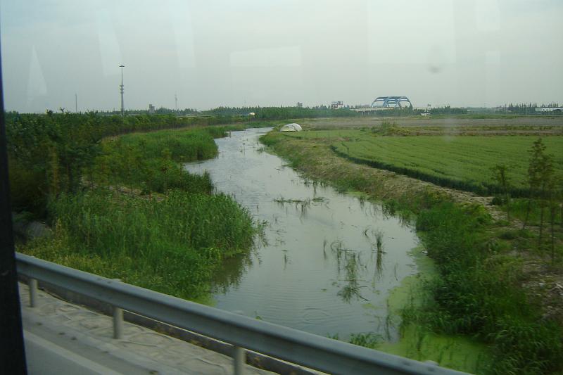 DSC03733.JPG