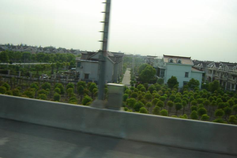 DSC03734.JPG