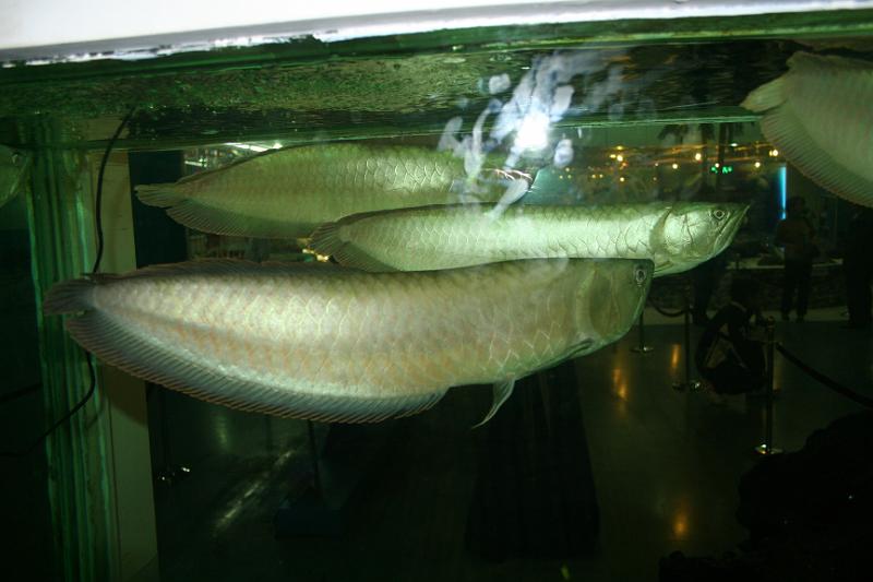IMG_4440.JPG