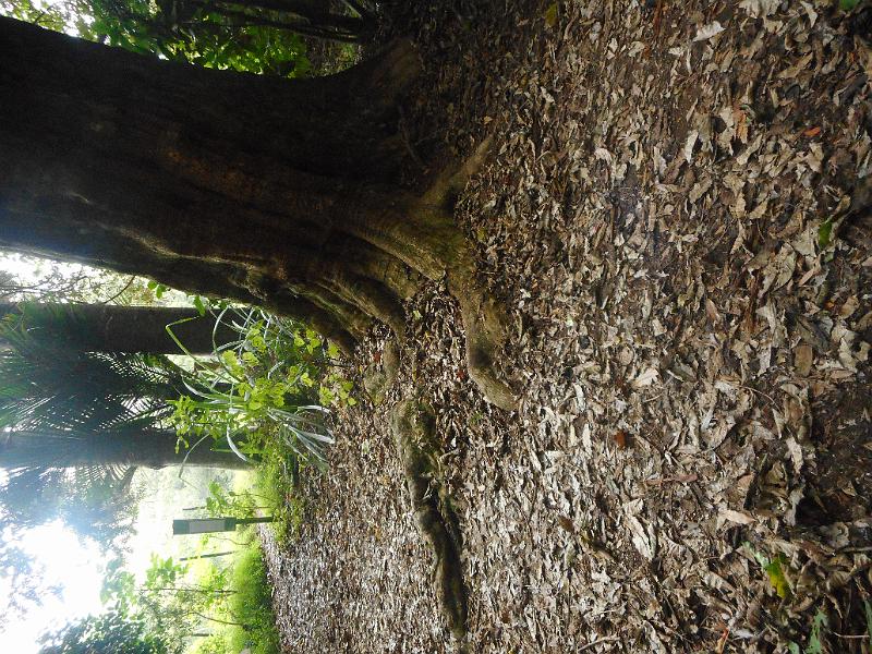 DSCN1819.JPG