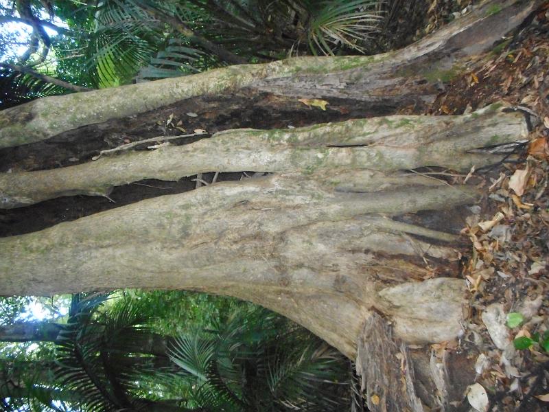 DSCN1820.JPG