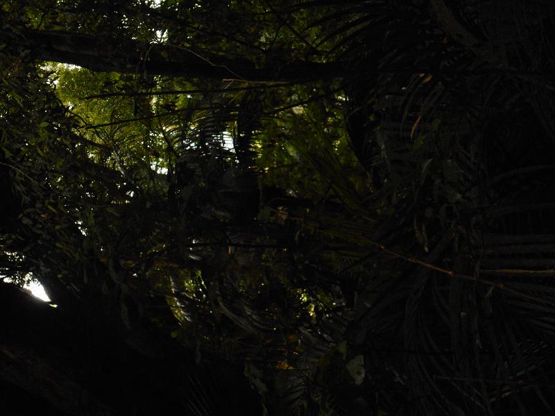 DSCN1822.JPG