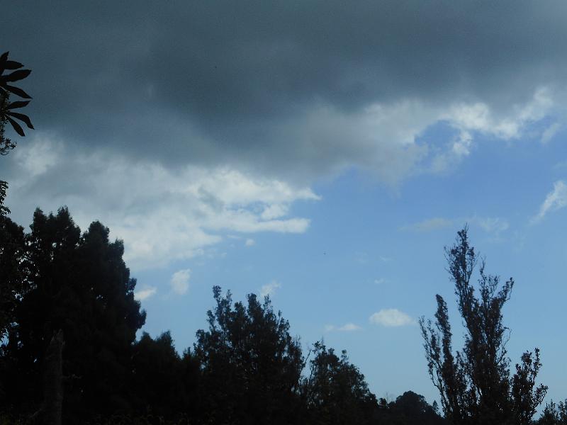 DSCN1824.JPG