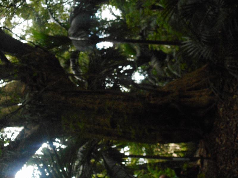 DSCN1828.JPG