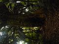 DSCN1826