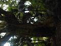DSCN1828