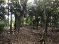 IMG_2652