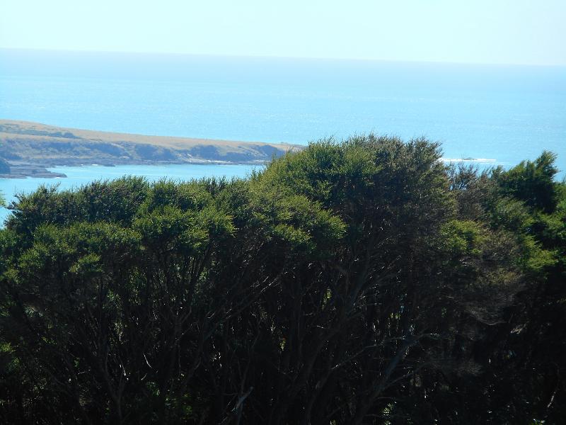 DSCN1875.JPG