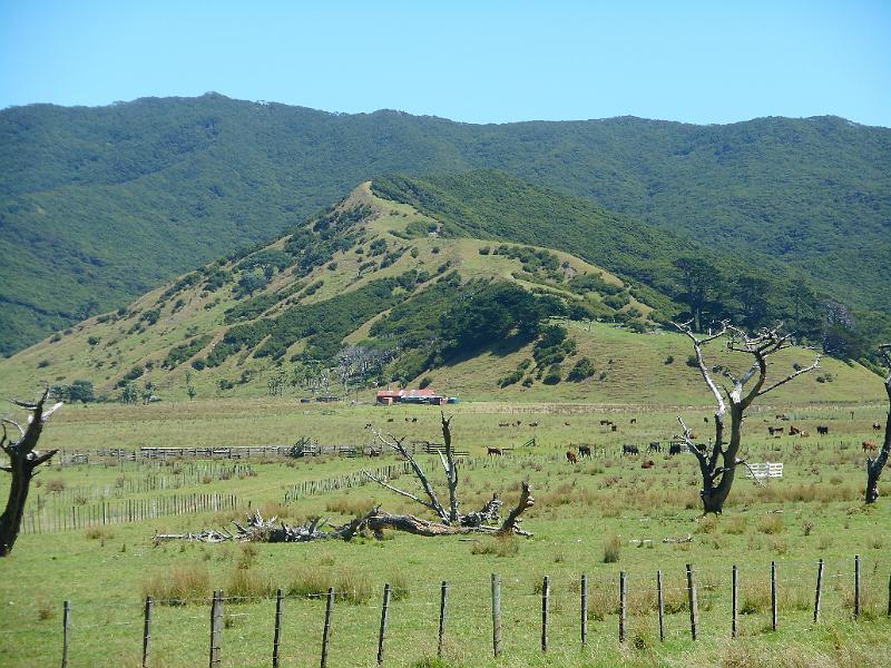 DSCN1877.JPG