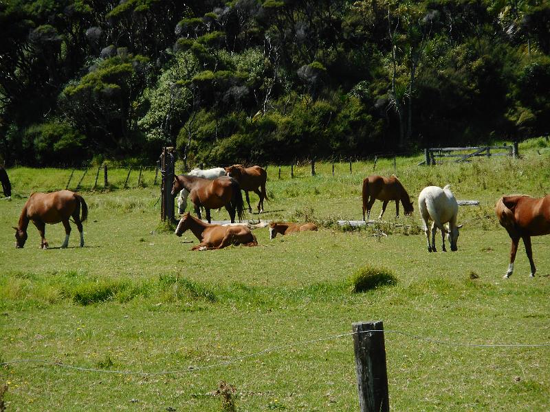 DSCN1879.JPG