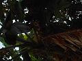 DSCN1906