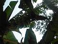 DSCN1909