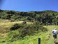 IMG_2707