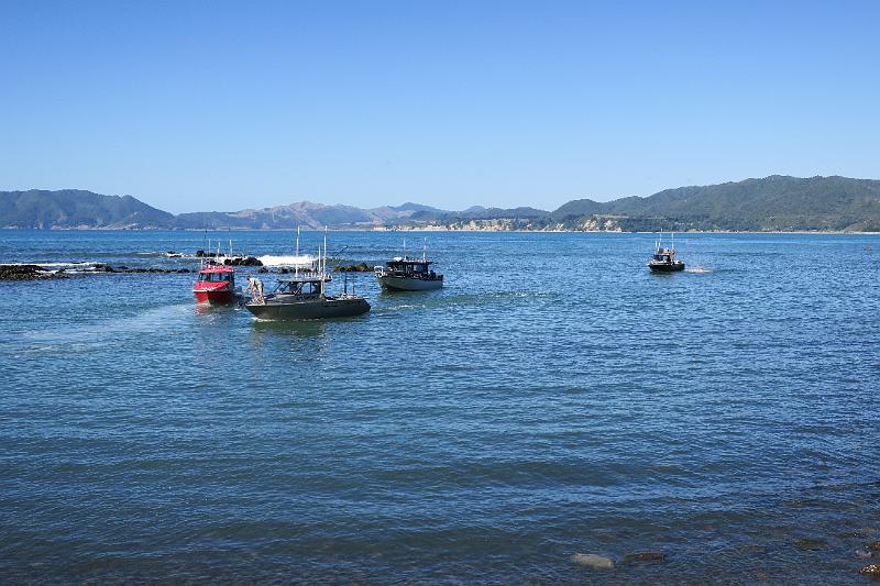IMG_7668.JPG