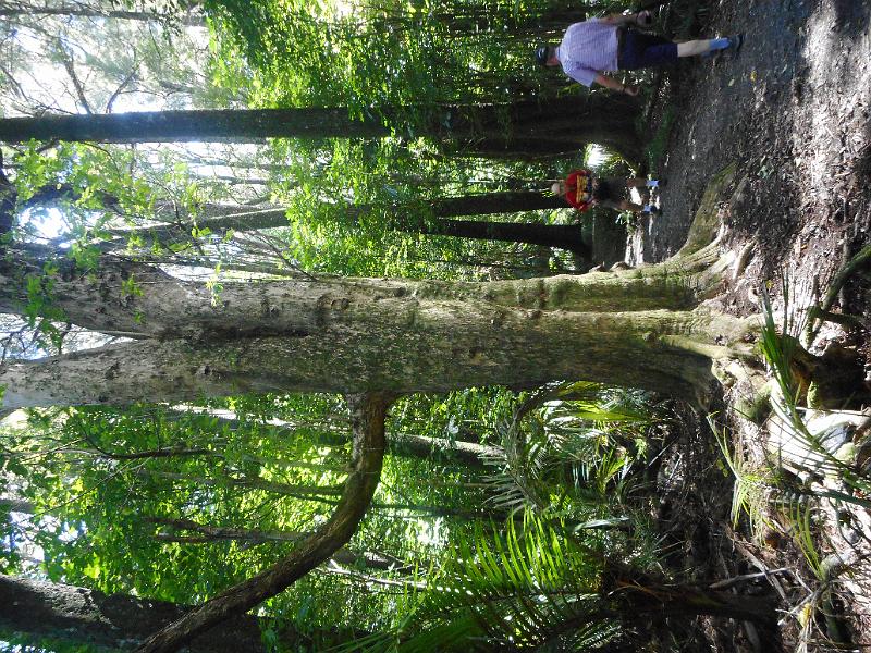 DSCN1927.JPG