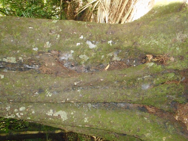DSCN1936.JPG