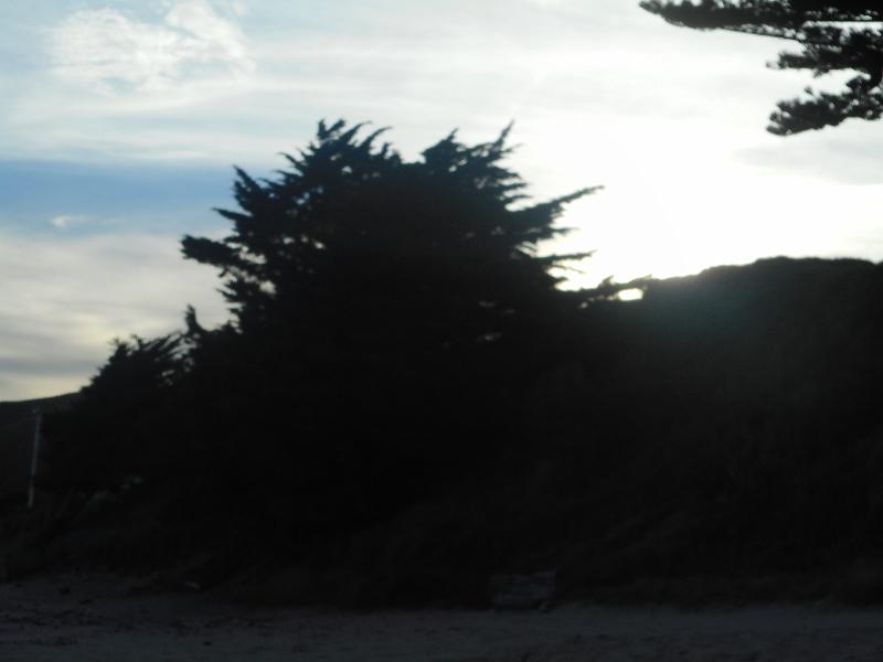 DSCN1985.JPG