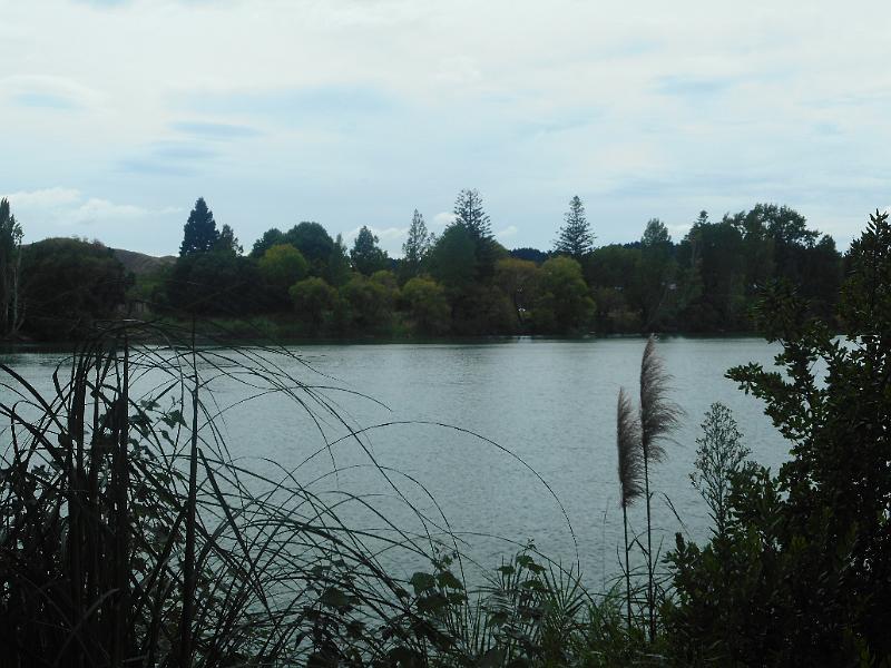 DSCN1996.JPG