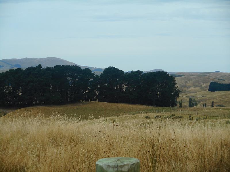 DSCN1999.JPG
