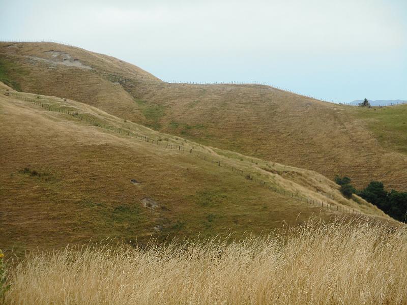 DSCN2000.JPG